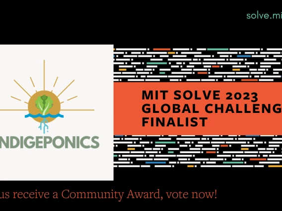 Indigeponics MIT SOLVE Finalist